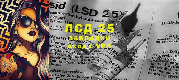 ПСИЛОЦИБИНОВЫЕ ГРИБЫ Пестово