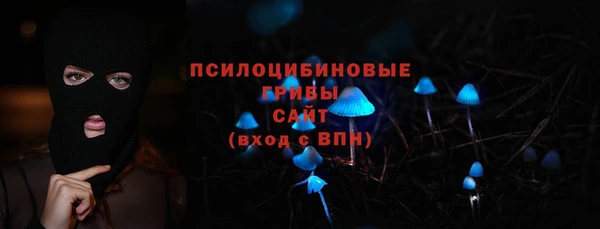 ПСИЛОЦИБИНОВЫЕ ГРИБЫ Пестово
