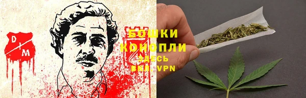 ешки Пересвет
