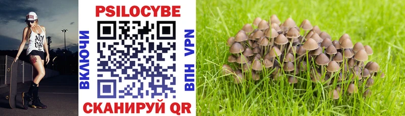 Купить где  Окуловка  Псилоцибиновые грибы Psilocybine cubensis 
